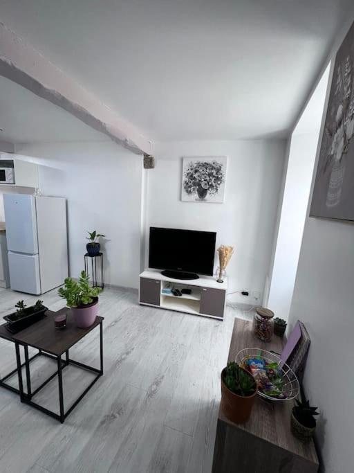Nérac Charmante Maison Renovee מראה חיצוני תמונה